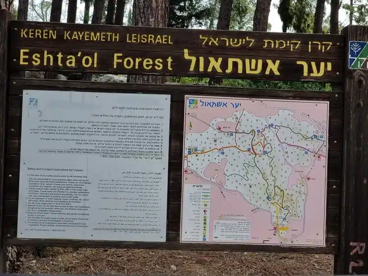 יער אשתאול