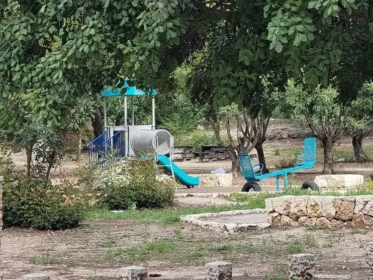 יער אשתאול