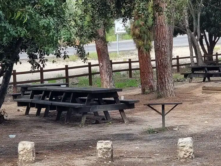 יער אשתאול
