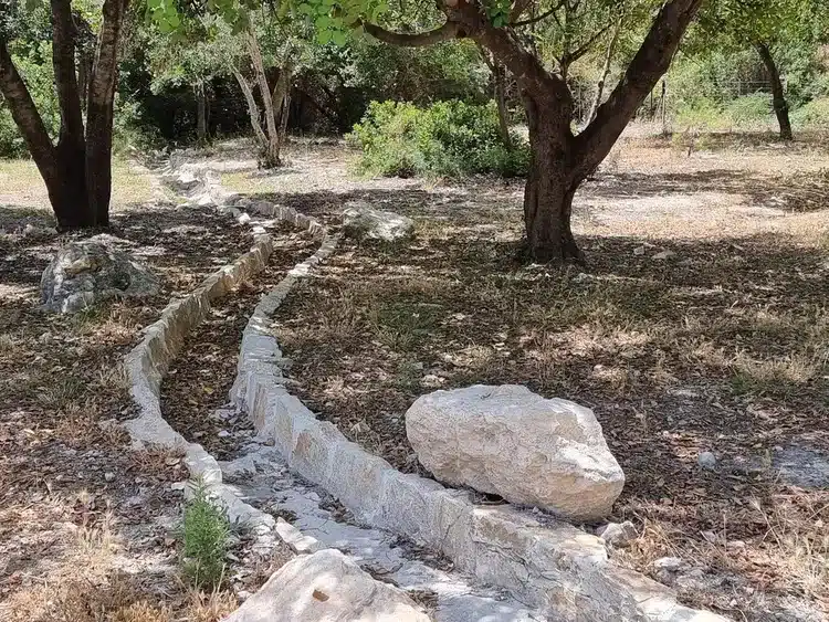 חניון גולי