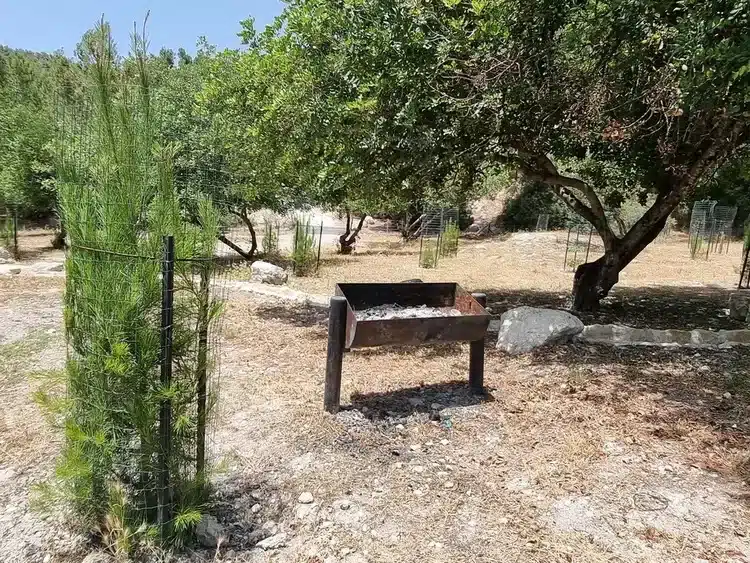 חניון גולי איסוף פחמים