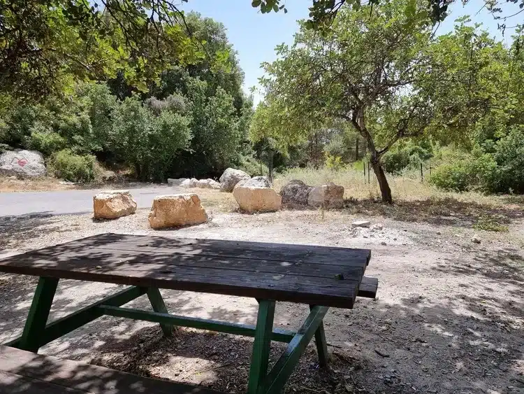 חניון גולי שולחן בצל