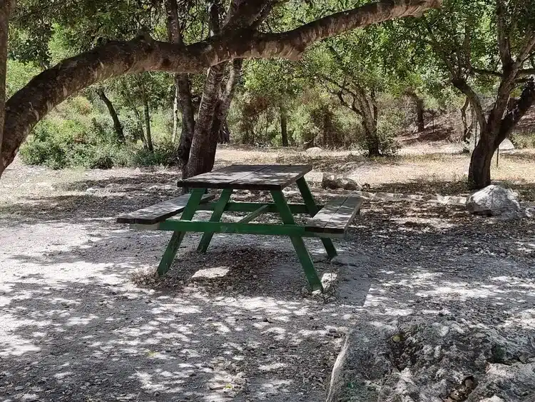 חניון גולי שולחן פיקניק