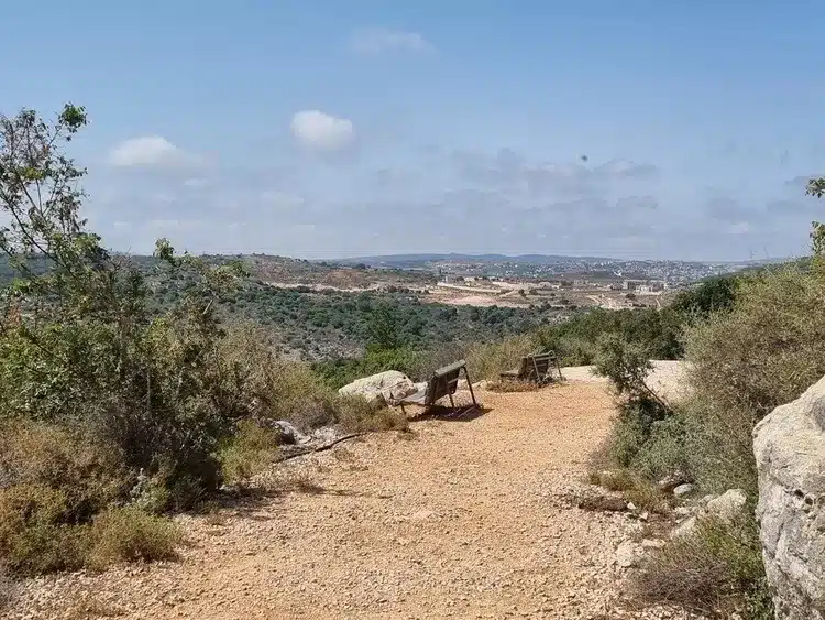 מצפור גיא ספסלים לנוף