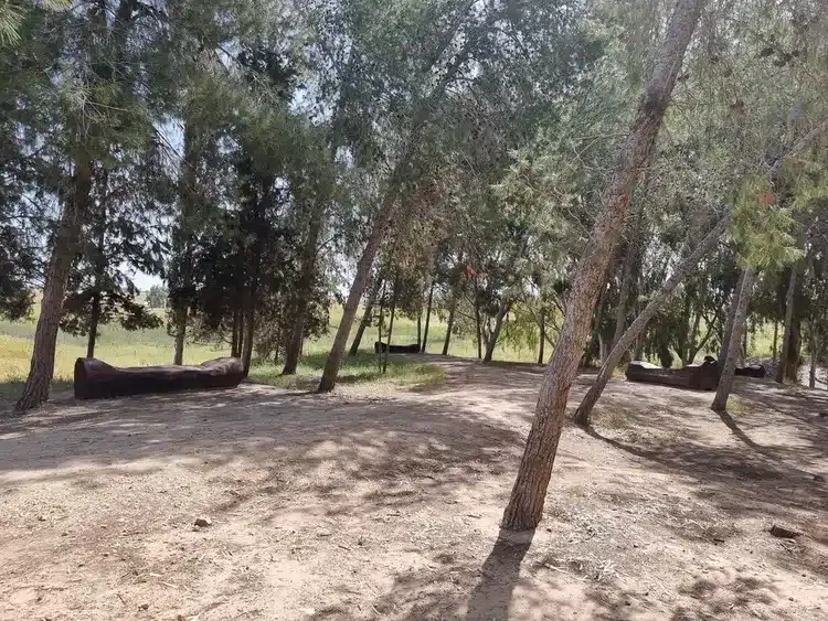 מצפה דודק׳ה פורה