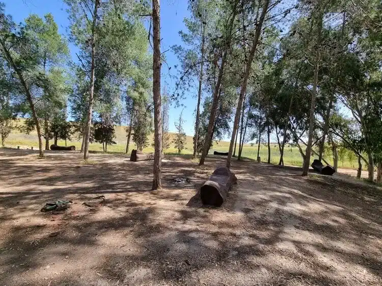 מצפה דודק׳ה פורה