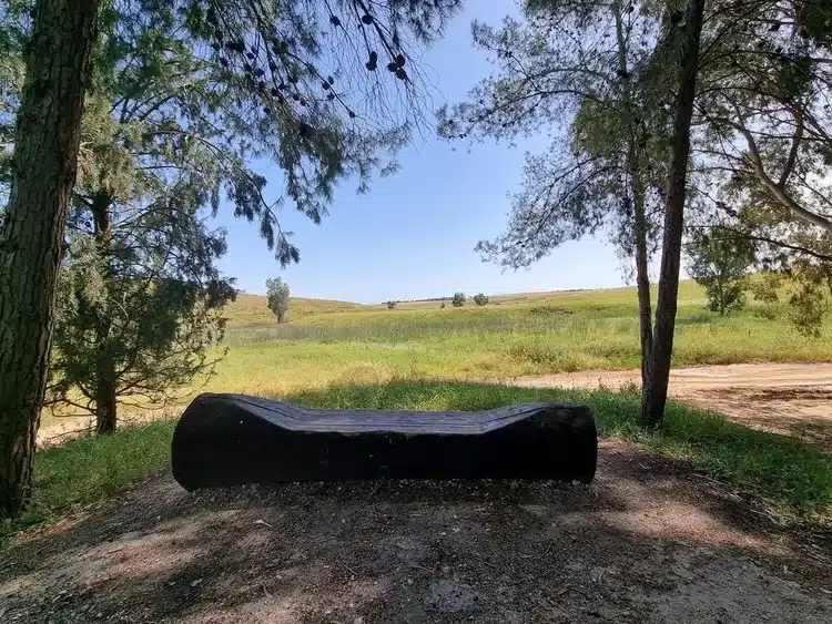 מצפה דודק׳ה פורה