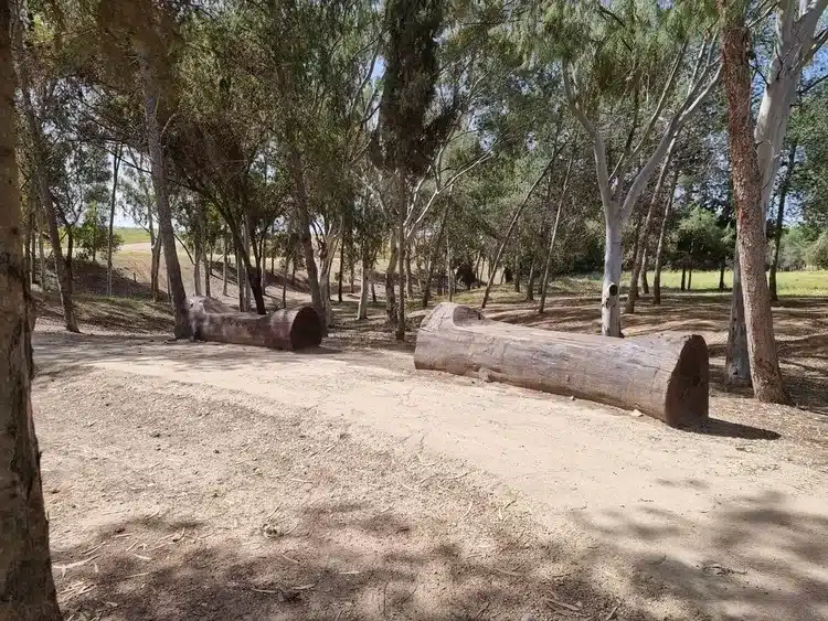 מצפה דודק׳ה פורה