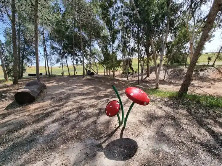 מצפה דודק׳ה פורה