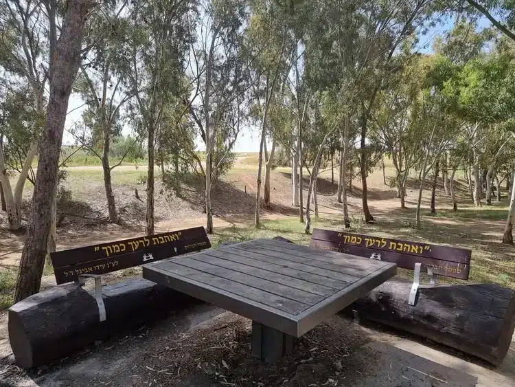 מצפה דודק׳ה פורה