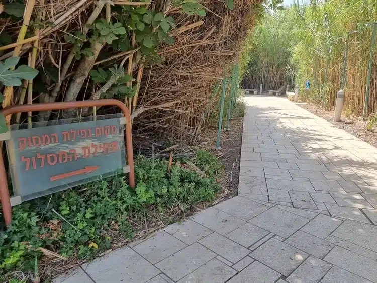 אתר ההנצחה לחללי אסון המסוקים