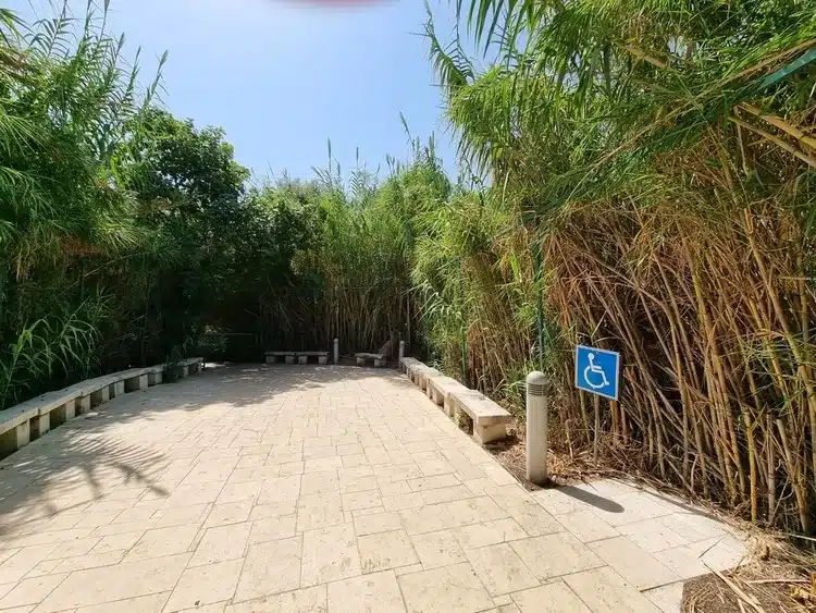 אתר ההנצחה לחללי אסון המסוקים פינת כינוס