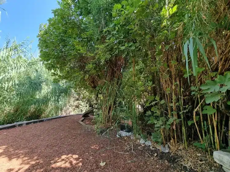 אתר ההנצחה לחללי אסון המסוקים שמות