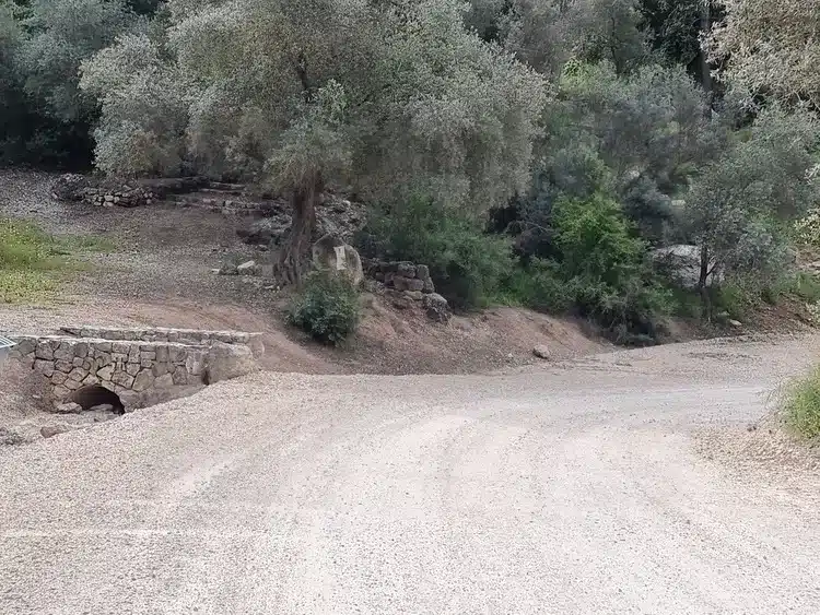חניון הזיתים אשתאול דרך עפר
