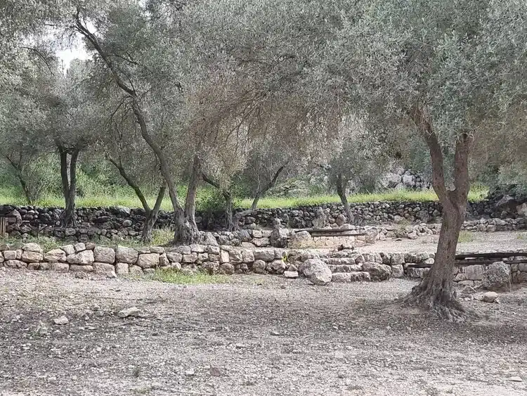 חניון הזיתים אשתאול צל