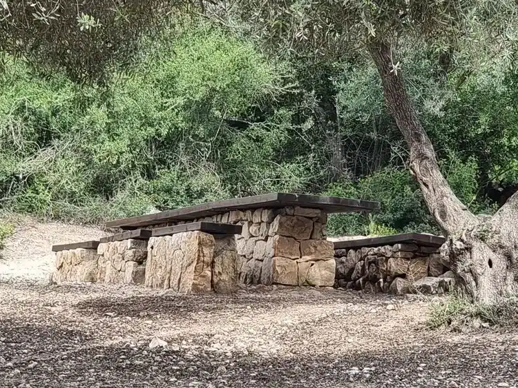 חניון הזיתים אשתאול שולחן