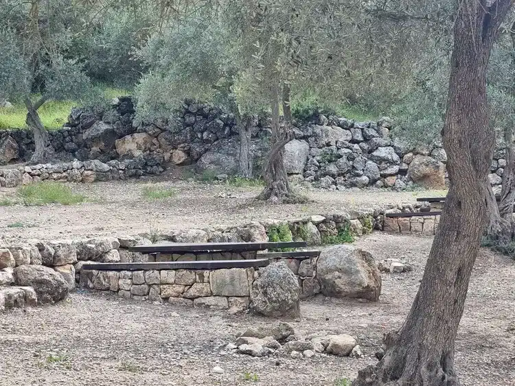 חניון הזיתים אשתאול שולחנות פיקניק