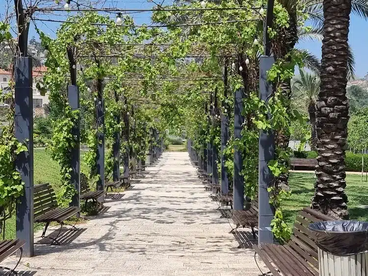 פארק המושבה זכרון
