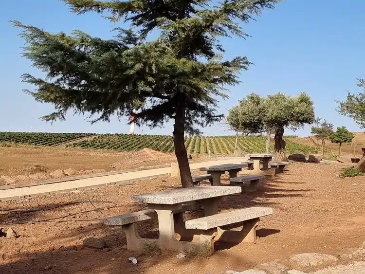 אתר הנצחה לחללי גדוד עוז 77 שולחנות פיקניק