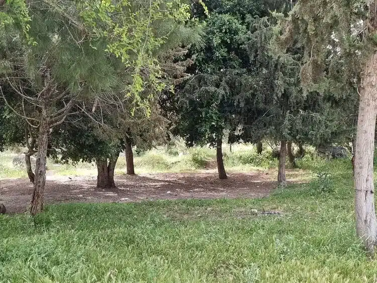 בית הקשתות קיבוץ הראל פינה לפיקניק