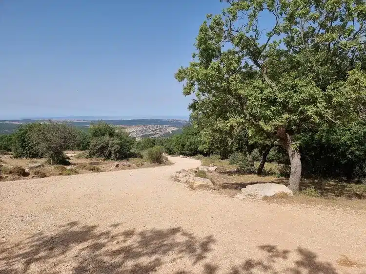 מצפור הר אדיר נוף