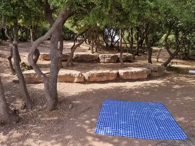 מצפור הר אדיר פיקניק