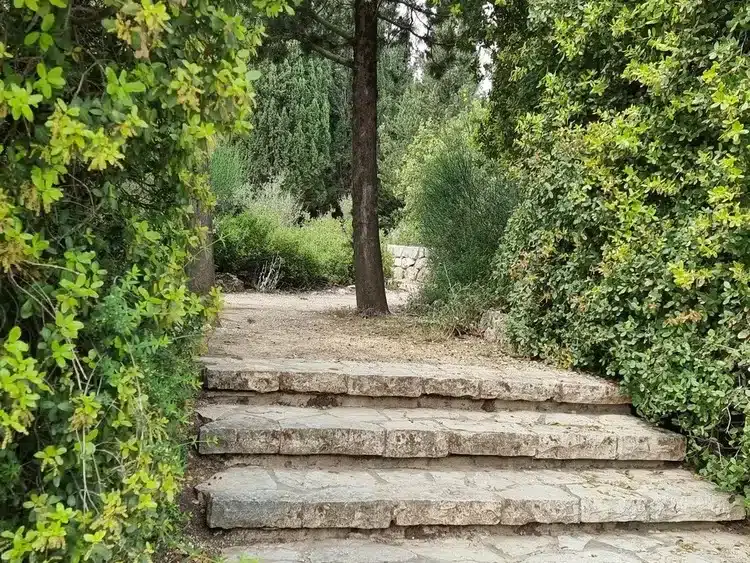 שמורת הר הטייסים
