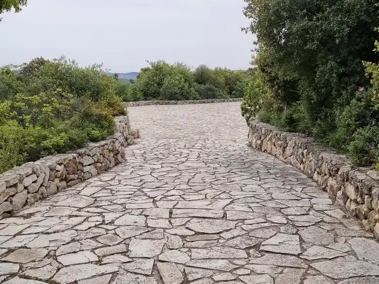 שמורת הר הטייסים הר