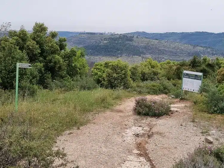 שמורת הר הטייסים נוף