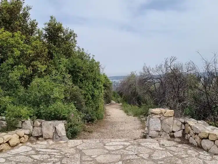 שמורת הר הטייסים שביל