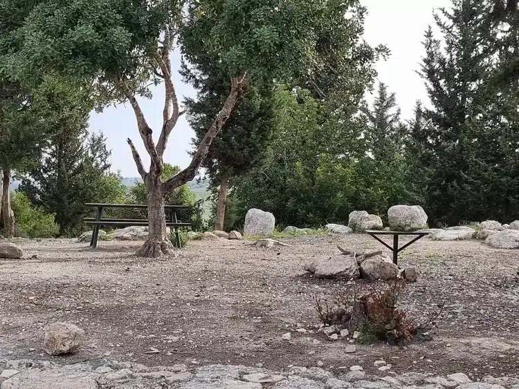 מצפה הראל