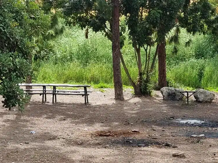 מצפה הראל