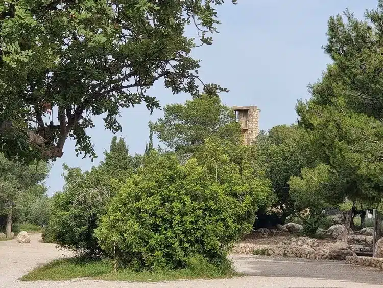 מצפה הראל
