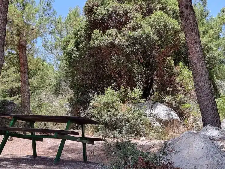 מצפור יהודה שביט שולחן פיקניק