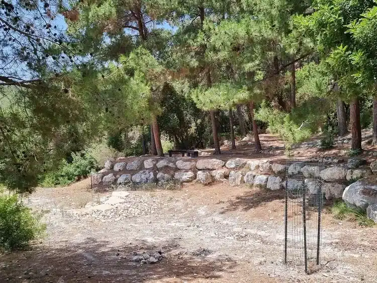 עין כובשים חורשה