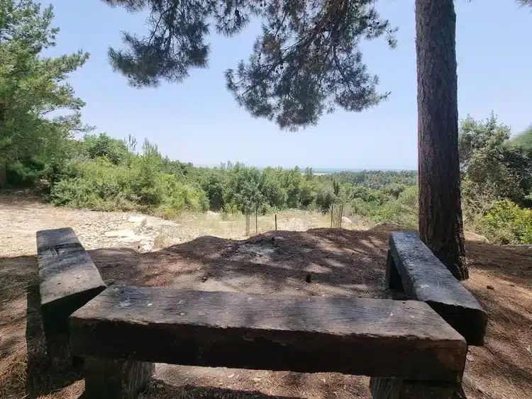 עין כובשים נוף