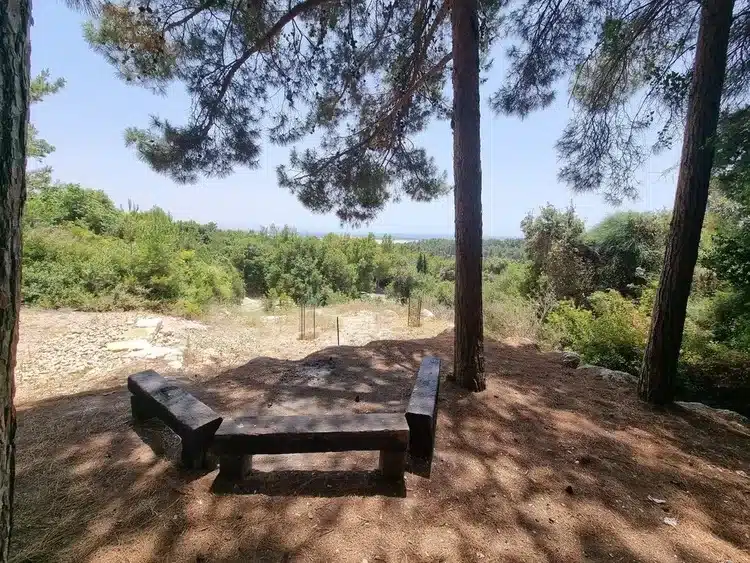 עין כובשים ספסלים