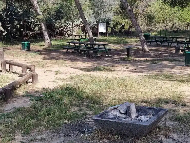 חניון רעים