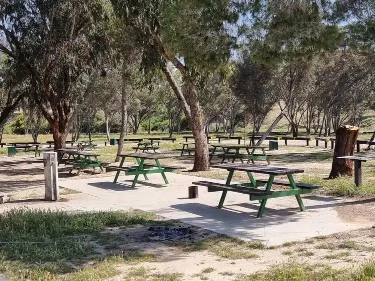 חניון רעים
