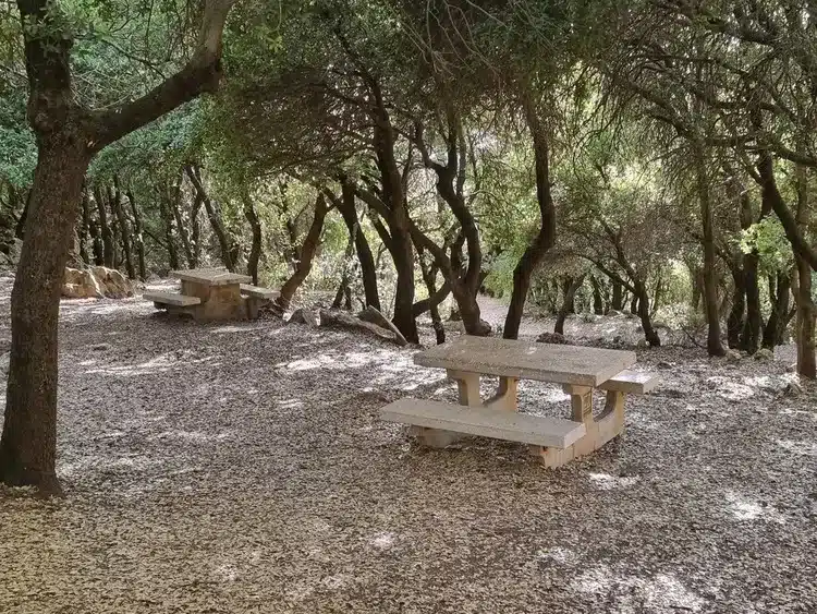 חניון שביל הפסגה
