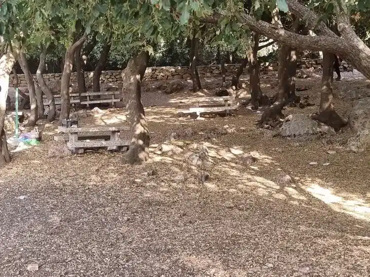 חניון שביל הפסגה שולחנות פיקניק