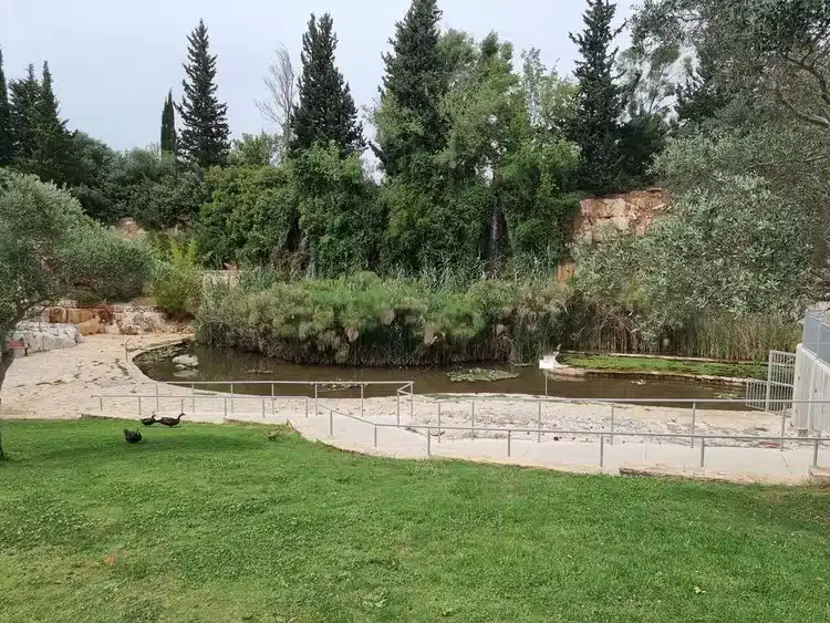 פארק הגליל ע_ש שמעון פרס_ פארק המחצבה בריכת נוי