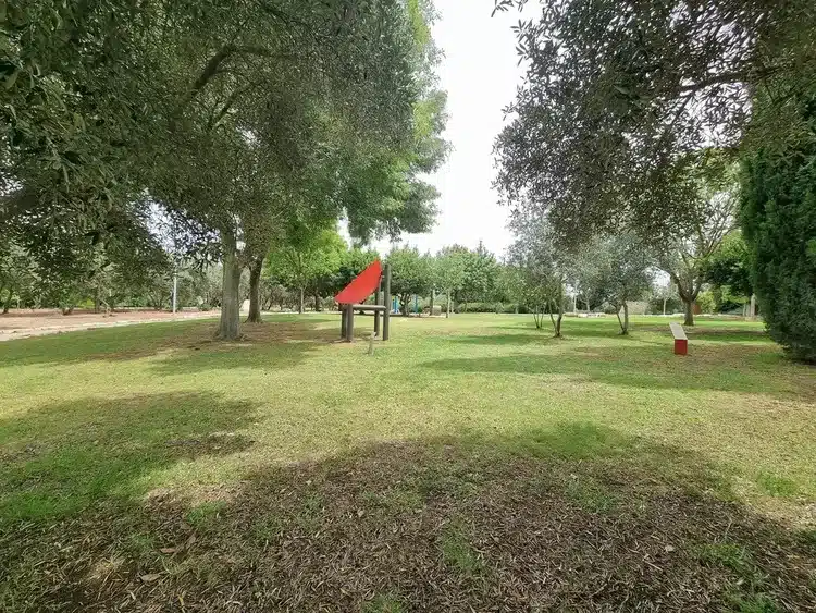 פארק הגליל ע_ש שמעון פרס_ פארק המחצבה דשא