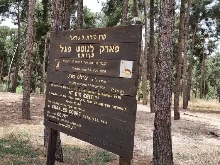 פארק עין זיתים