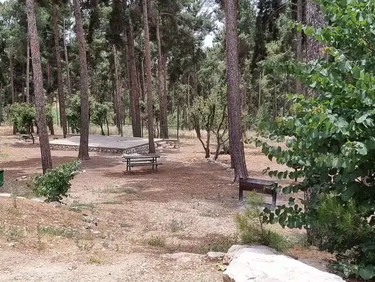 פארק עין זיתים מנגל