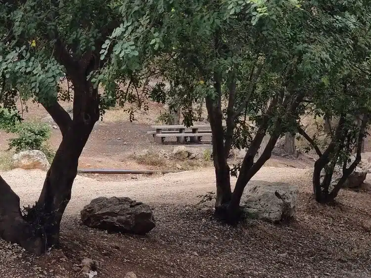 חניון שפר