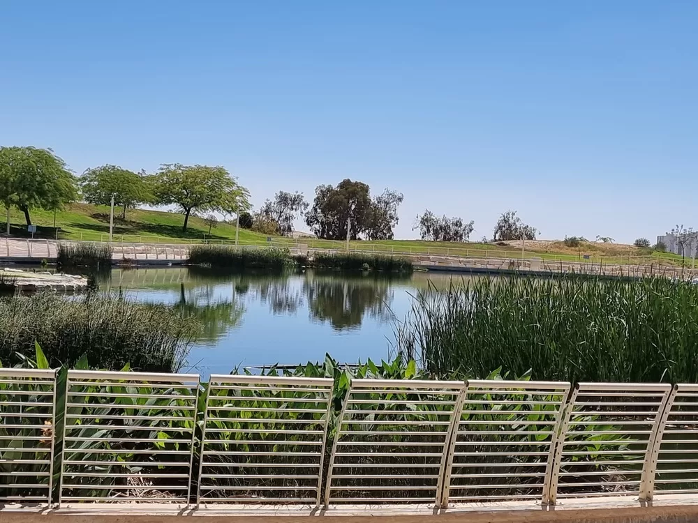 פארק אגם ירוחם