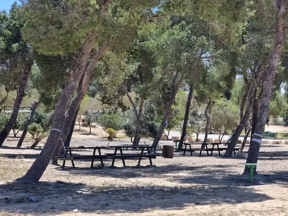 פארק אגם ירוחם