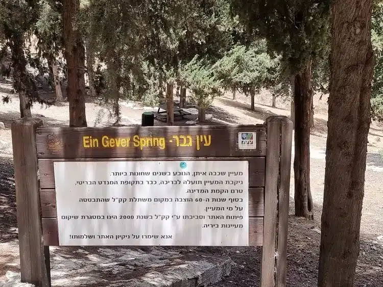 עין גבר כניסה