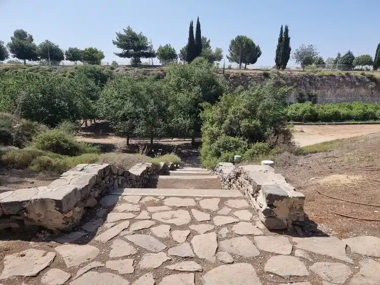 אמפיפארק גולן מדרגות